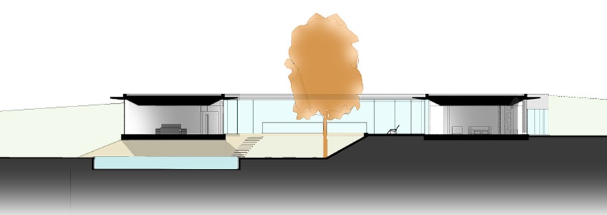 coloured section of Cantilever House centred around a large tree