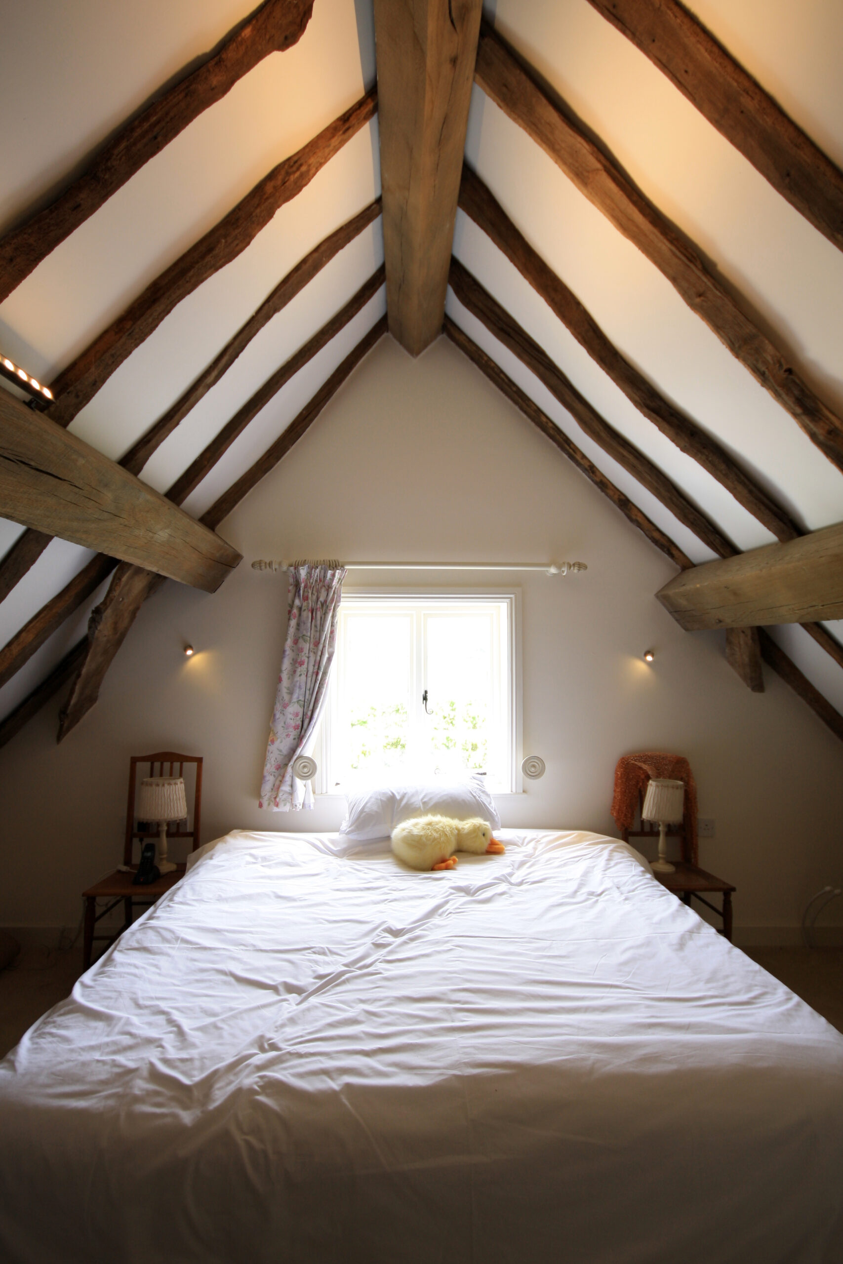 retained roof structure exposed with plaster infills to ceiling