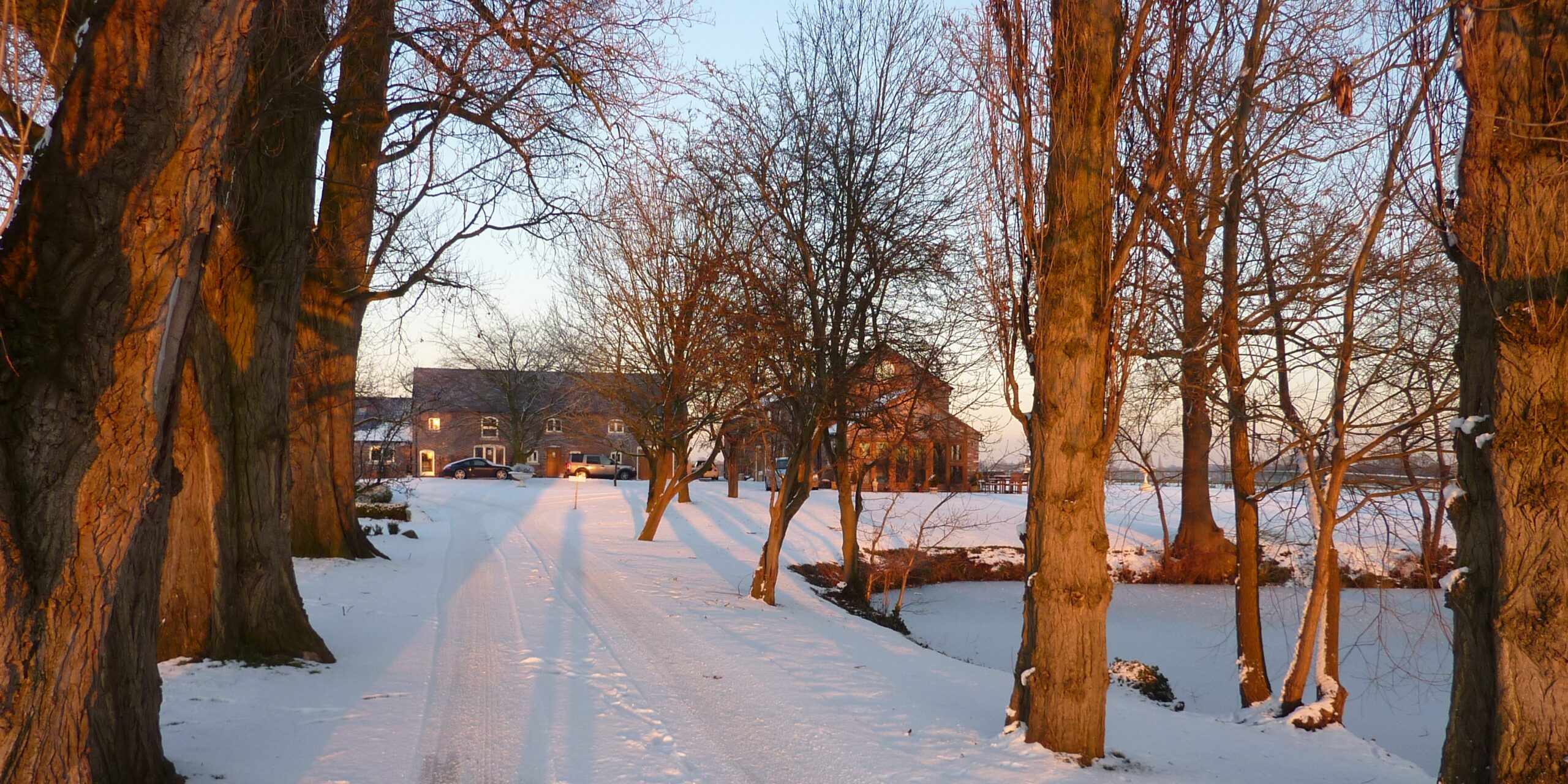 Driveway entrance to Poole Farm on a winters day with snow between two rows of mature trees with clear view of the multiple dwellings and barn conversions