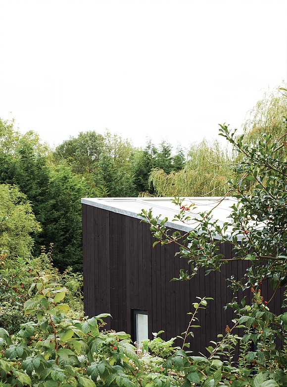 Charred timber vertical cladding extension with low pitch metal roof set in natural landscape with surrounding trees.