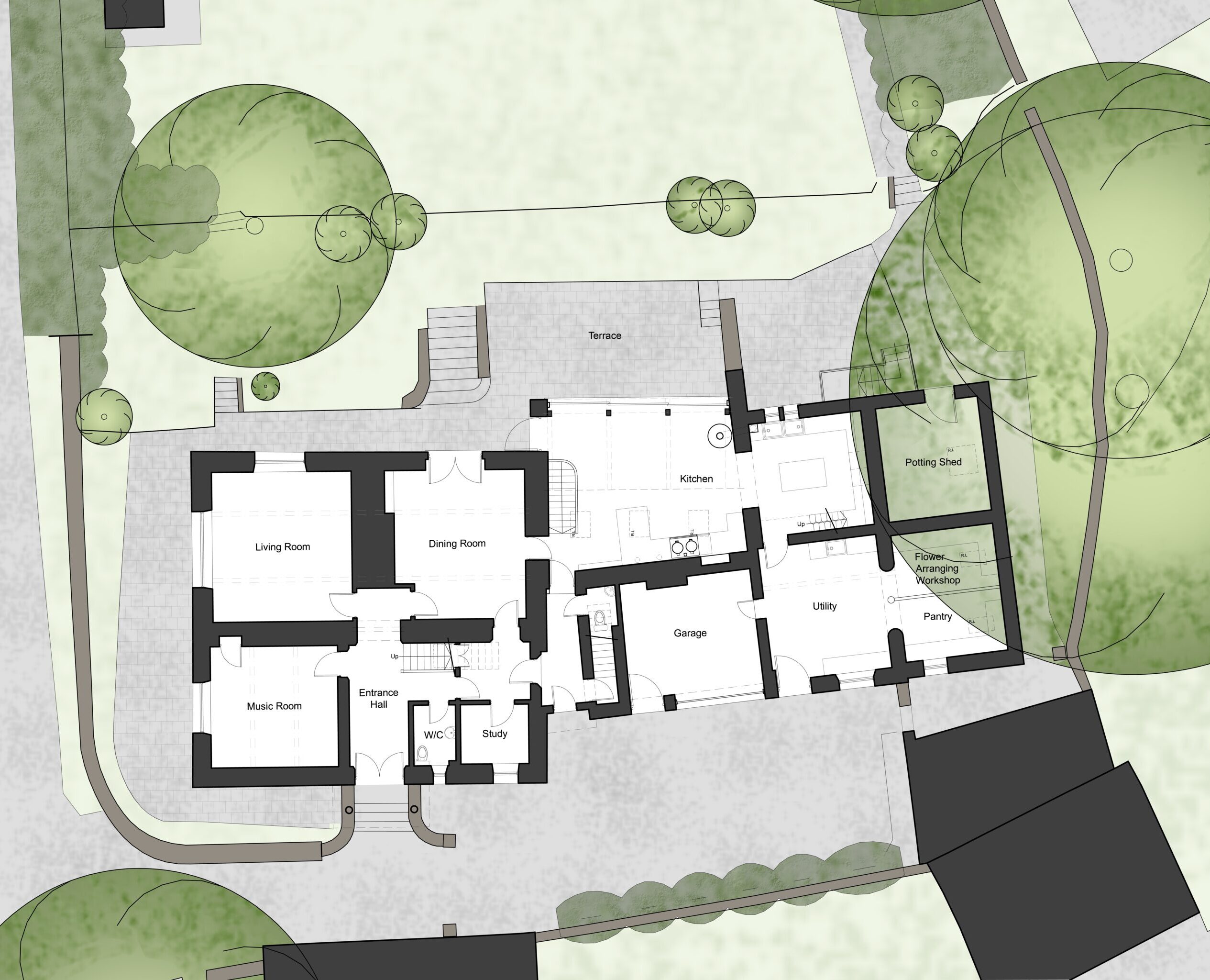 3685 P Site Plan copy1